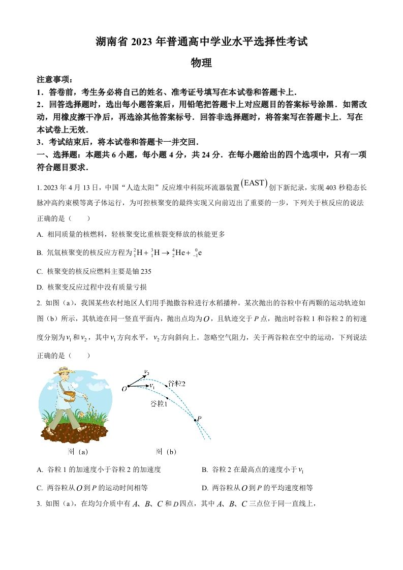 2023年高考物理试卷（湖南）（空白卷）_练习题|试卷|知识点|复习提纲