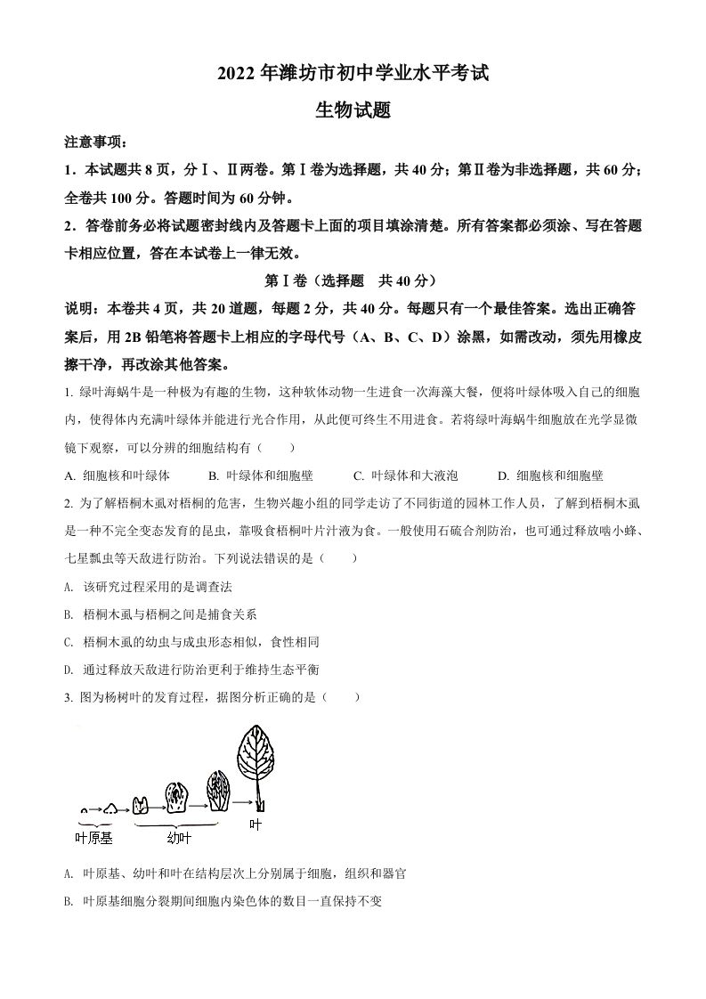 2022年山东省潍坊市中考生物真题（空白卷）_练习题|试卷|知识点|复习提纲