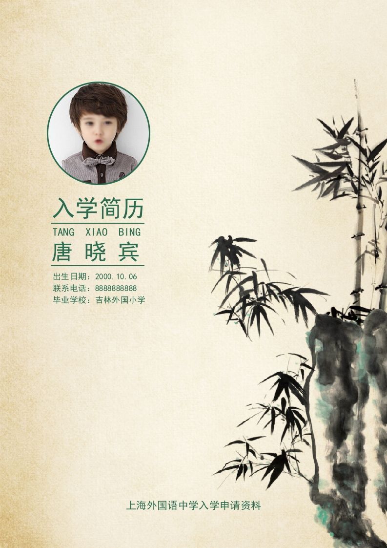 多页-小升初简历05_练习题|试卷|知识点|复习提纲