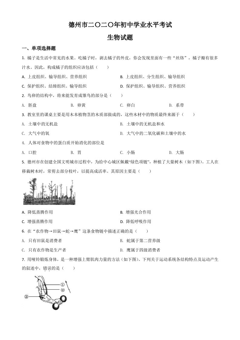 山东省德州市2020中考生物试题（空白卷）_练习题|试卷|知识点|复习提纲