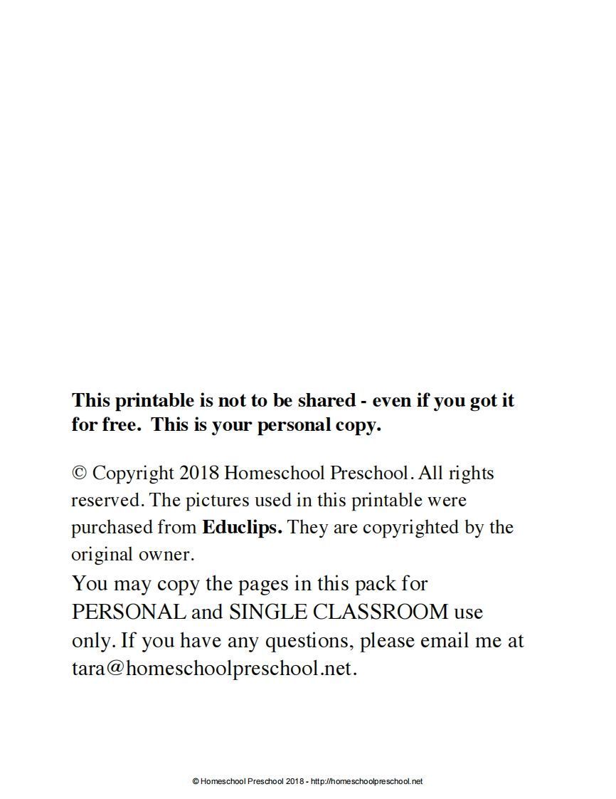 小熊剪纸_练习题|试卷|知识点|复习提纲