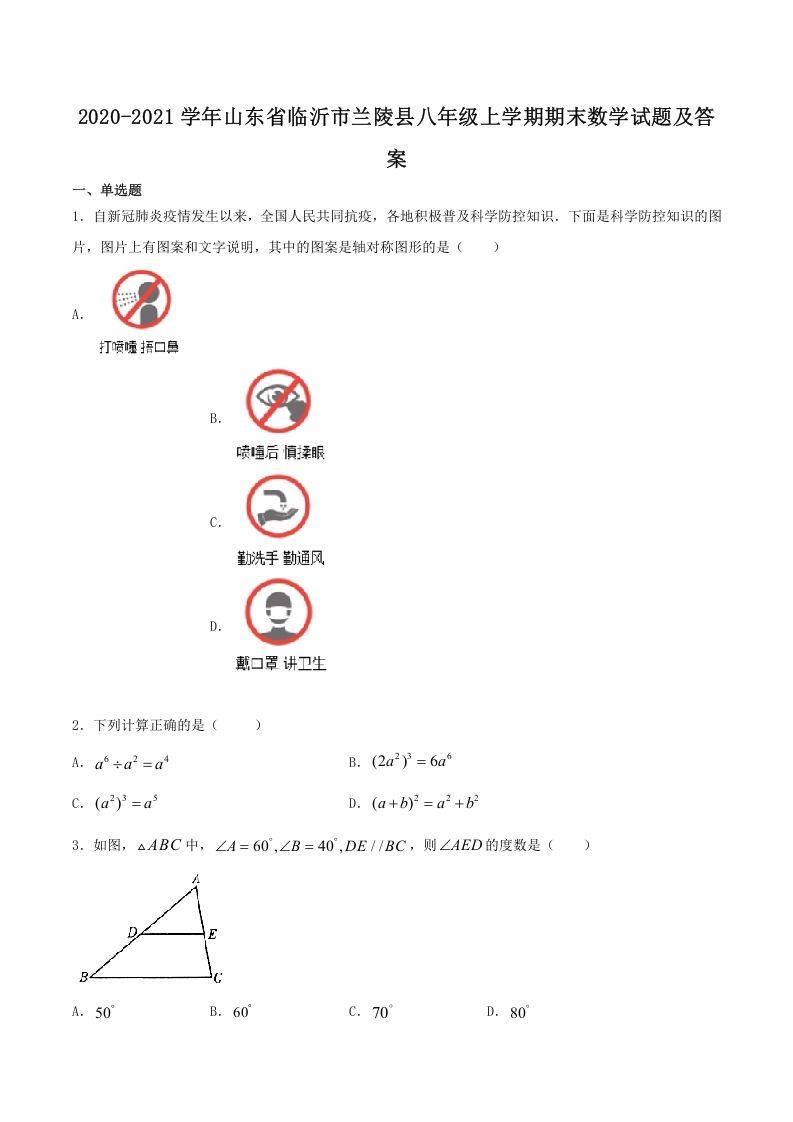2020-2021学年山东省临沂市兰陵县八年级上学期期末数学试题及答案(Word版)_练习题|试卷|知识点|复习提纲