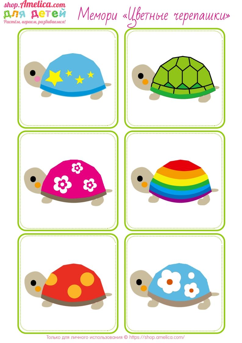 记忆卡片15_练习题|试卷|知识点|复习提纲