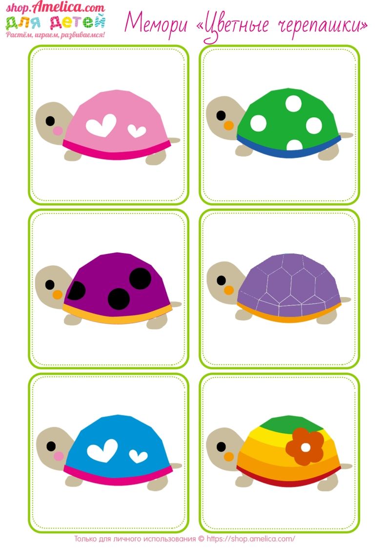 图片[2]_记忆卡片15_练习题|试卷|知识点|复习提纲