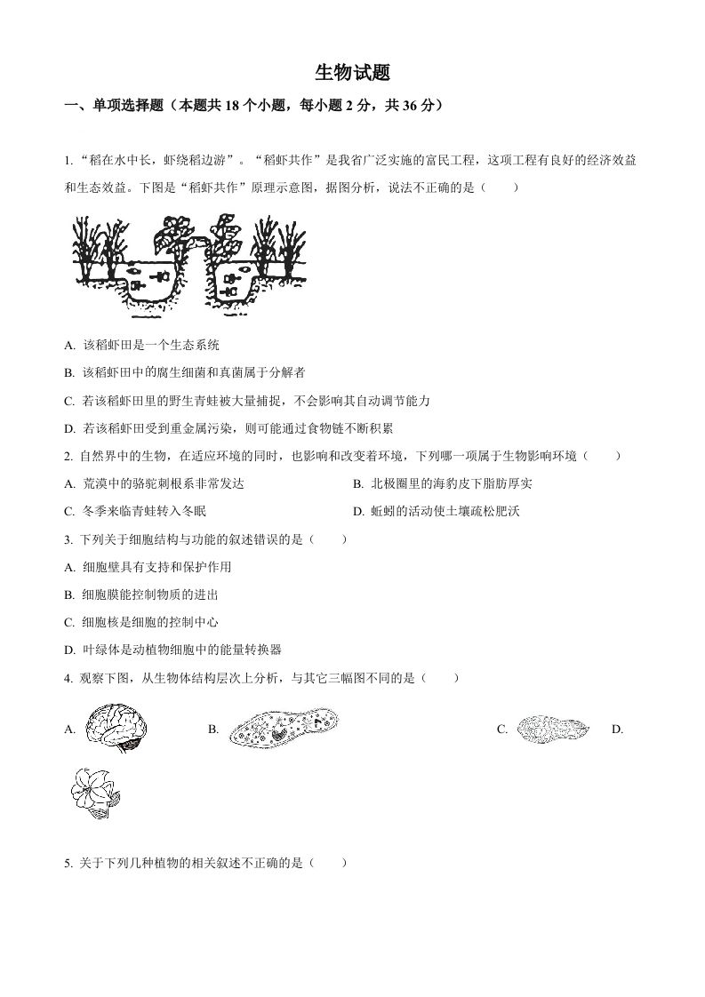 2023年湖北省十堰市生物中考真题（空白卷）_练习题|试卷|知识点|复习提纲