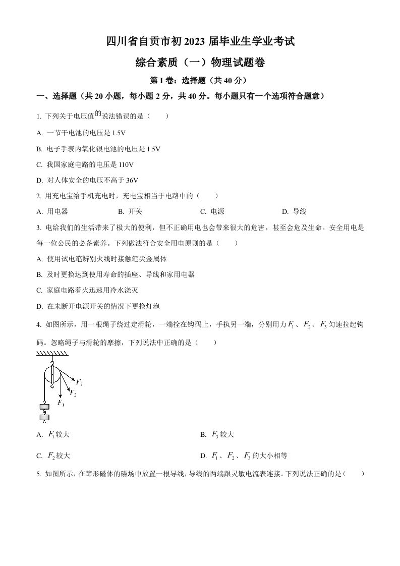 2023年四川省自贡市中考物理试题（空白卷）_练习题|试卷|知识点|复习提纲