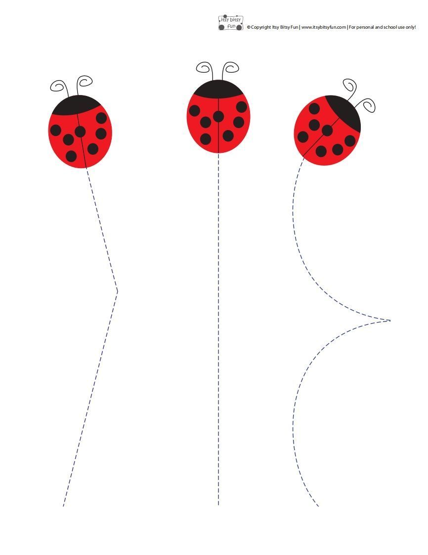 昆虫剪纸_练习题|试卷|知识点|复习提纲