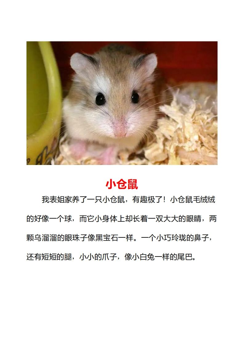 图片[2]_二年级上册语文口语交际一“有趣的动物”指导及范文_练习题|试卷|知识点|复习提纲