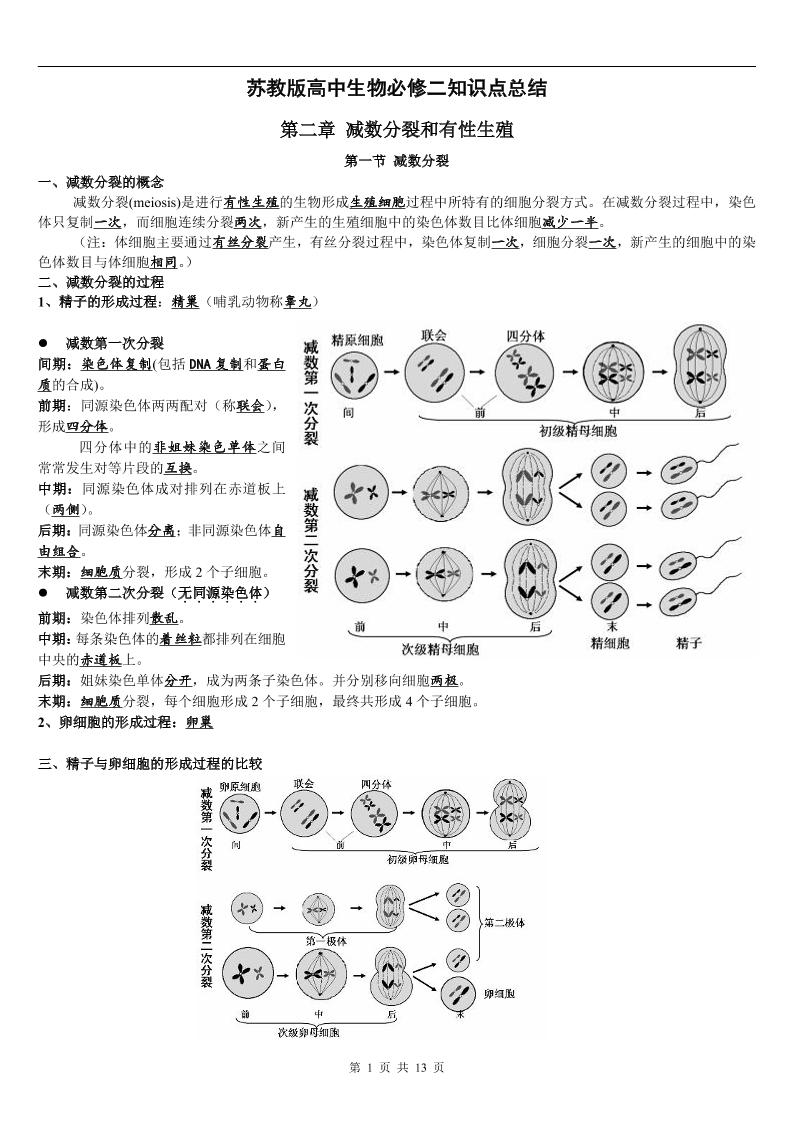 58-苏教版高中生物必修二知识点总结_练习题|试卷|知识点|复习提纲