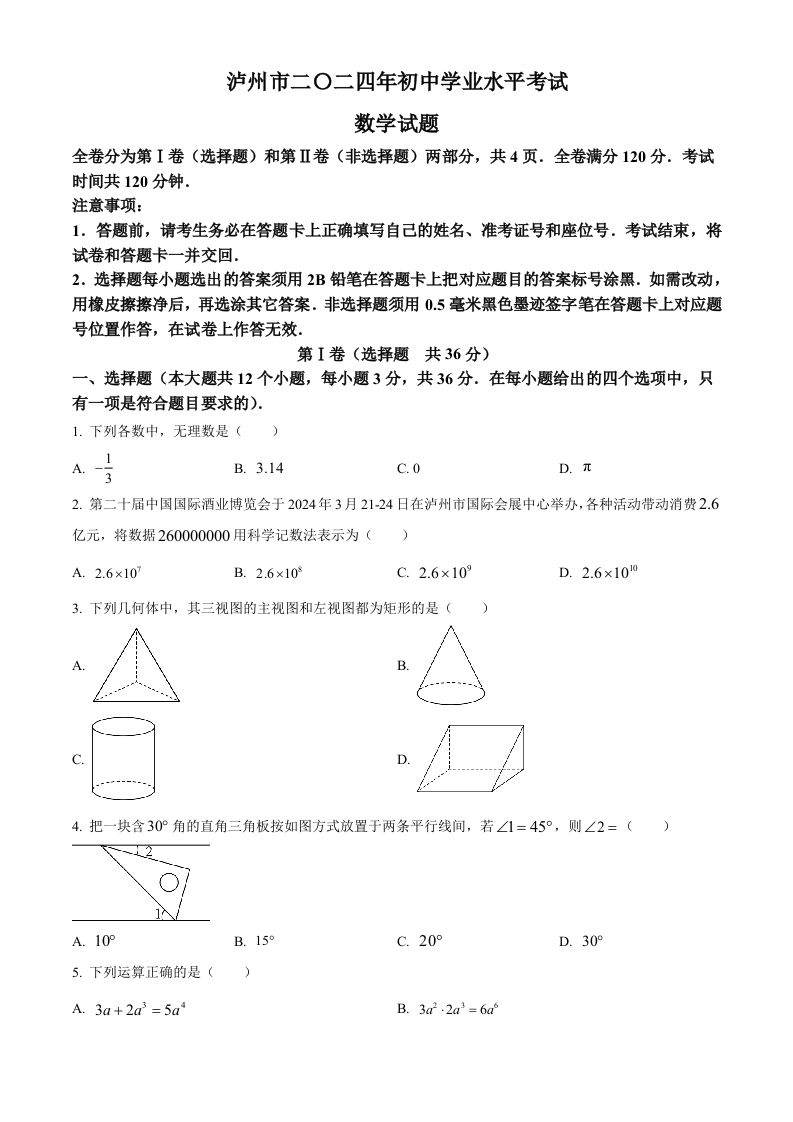 2024年四川省泸州市中考数学试题（空白卷）_练习题|试卷|知识点|复习提纲