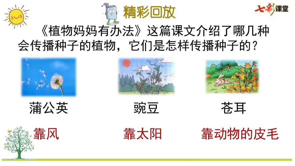 图片[2]_二年级语文上册专项5：课文知识点复习课件（部编）_练习题|试卷|知识点|复习提纲