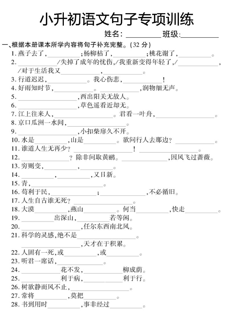 六下小升初语文句子专项训练_练习题|试卷|知识点|复习提纲