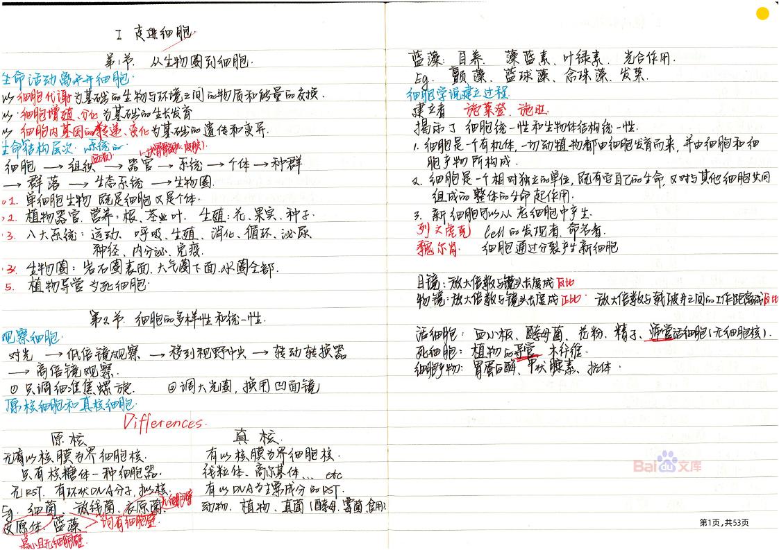 70-清华北大附中理科学霸高中生物笔记_练习题|试卷|知识点|复习提纲