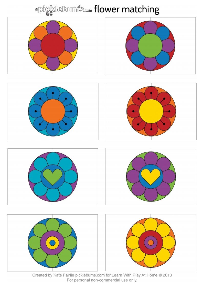 记忆卡片12_练习题|试卷|知识点|复习提纲