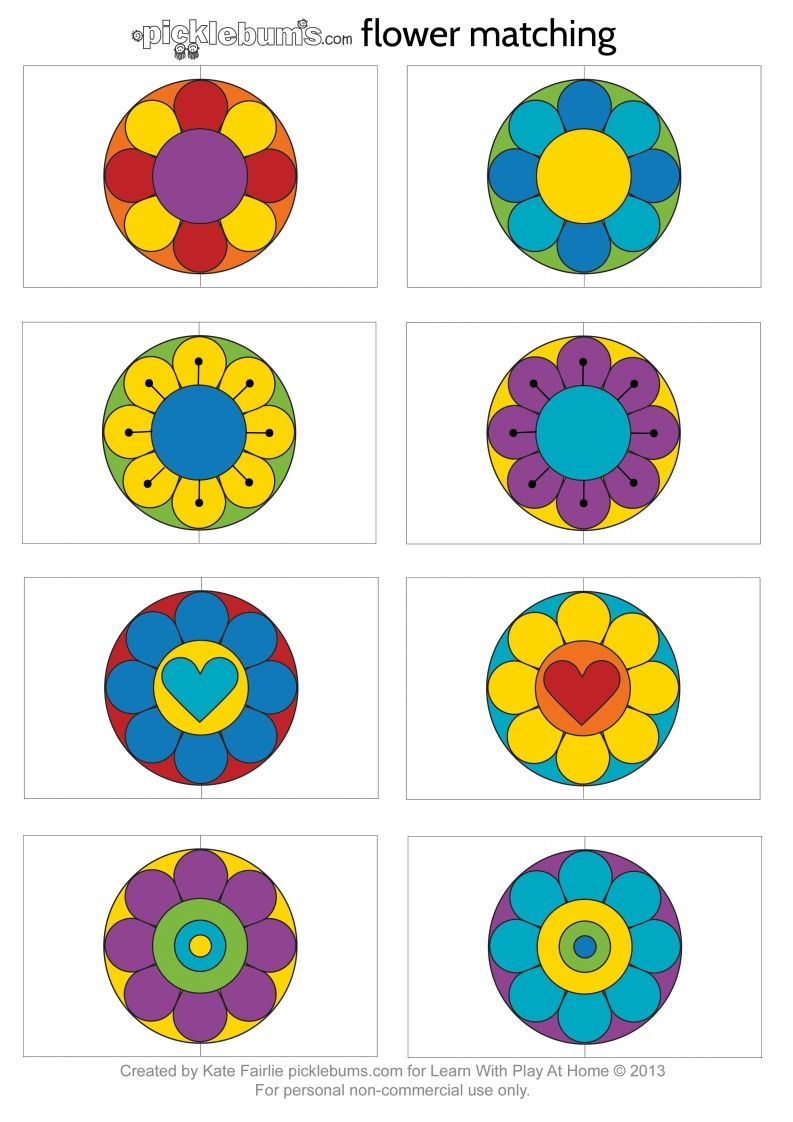 图片[2]_记忆卡片12_练习题|试卷|知识点|复习提纲