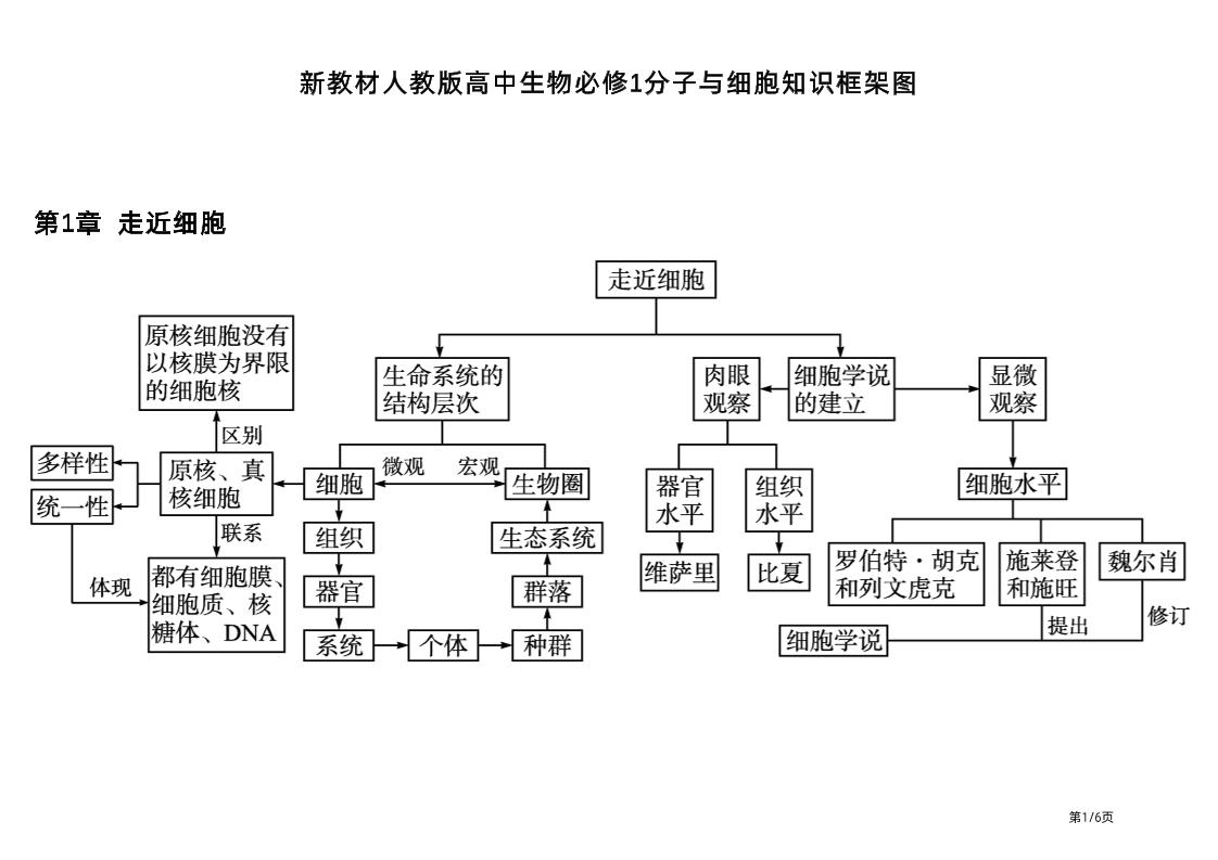 80-新教材人教版高中生物必修1分子与细胞知识框架图_练习题|试卷|知识点|复习提纲