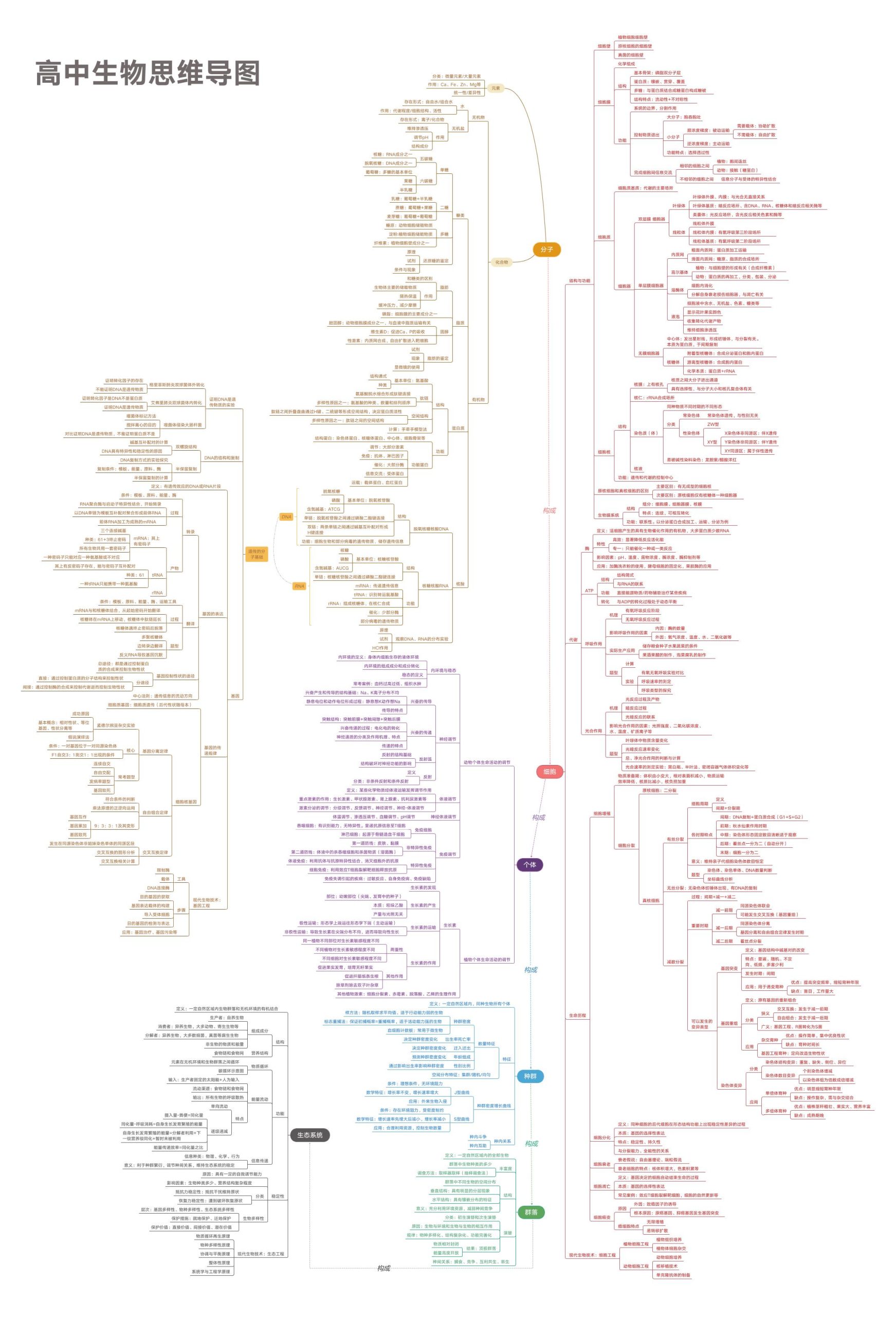 83-高中生物思维导图_练习题|试卷|知识点|复习提纲
