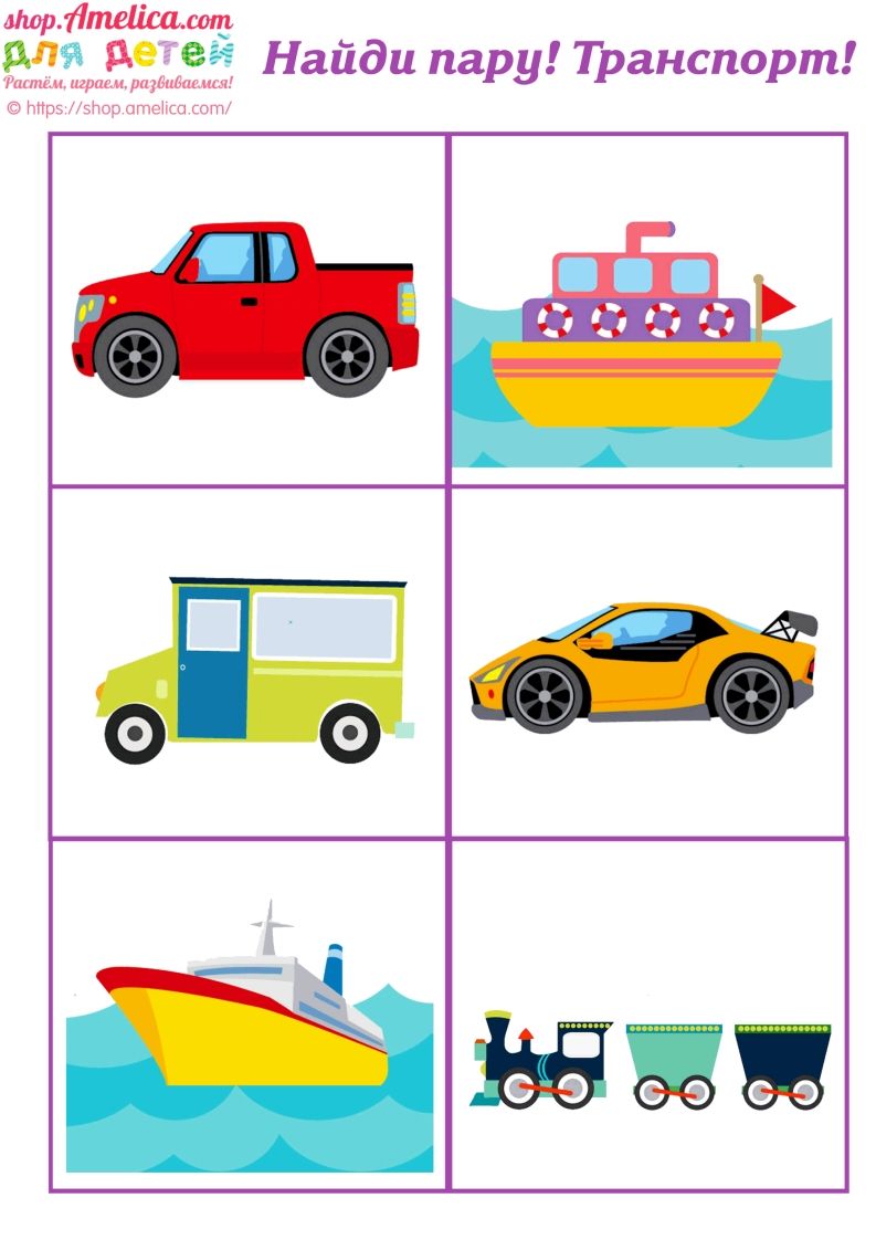 记忆卡片4_练习题|试卷|知识点|复习提纲