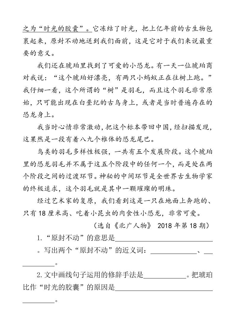 图片[3]_四年级语文下册类文阅读-5琥珀_练习题|试卷|知识点|复习提纲
