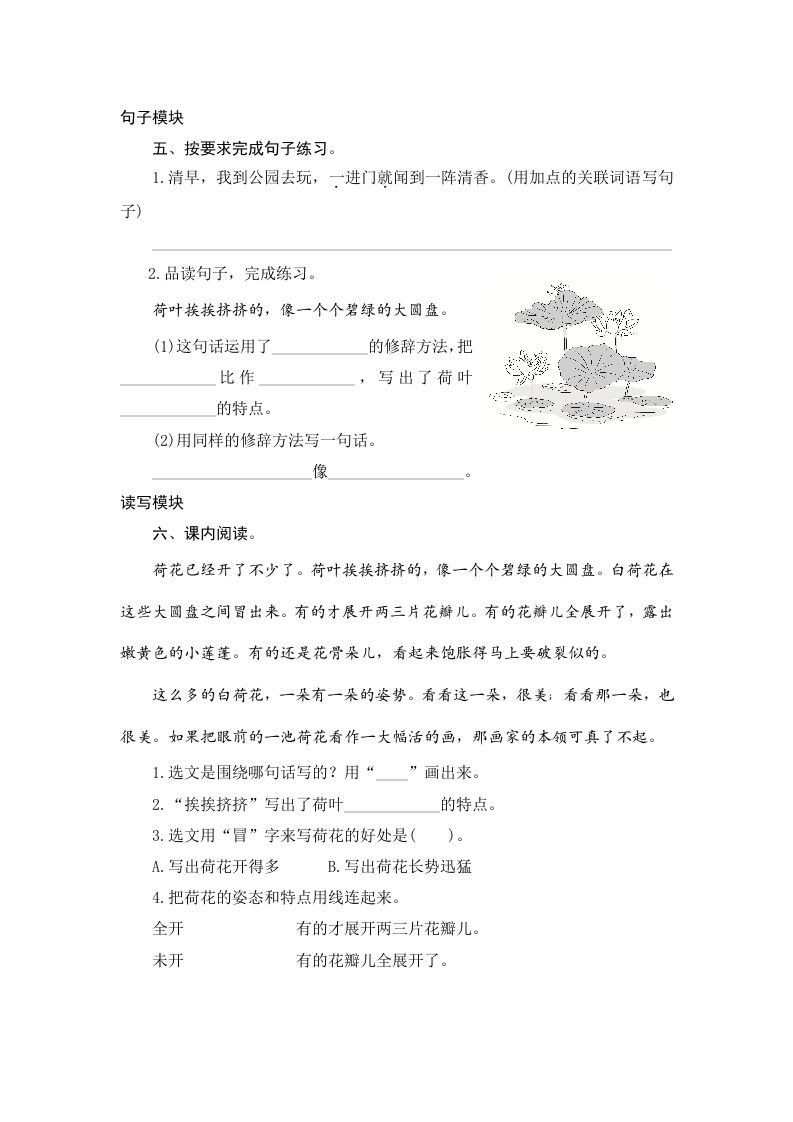 图片[2]_三年级语文下册3荷花_练习题|试卷|知识点|复习提纲