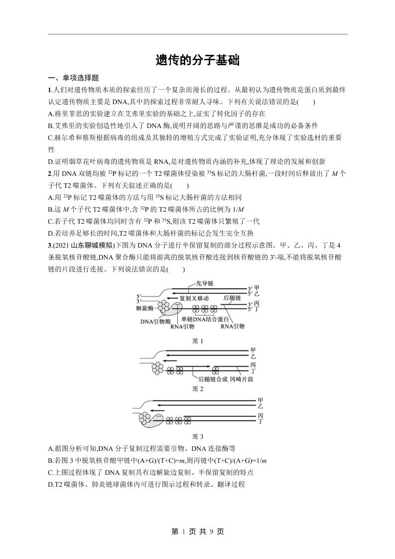 94-高考生物复习《遗传的分子基础》专项练习及答案_练习题|试卷|知识点|复习提纲