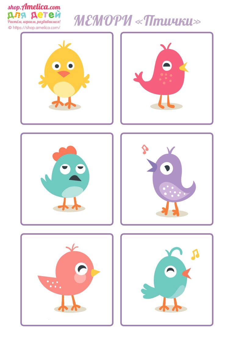 记忆卡片13_练习题|试卷|知识点|复习提纲