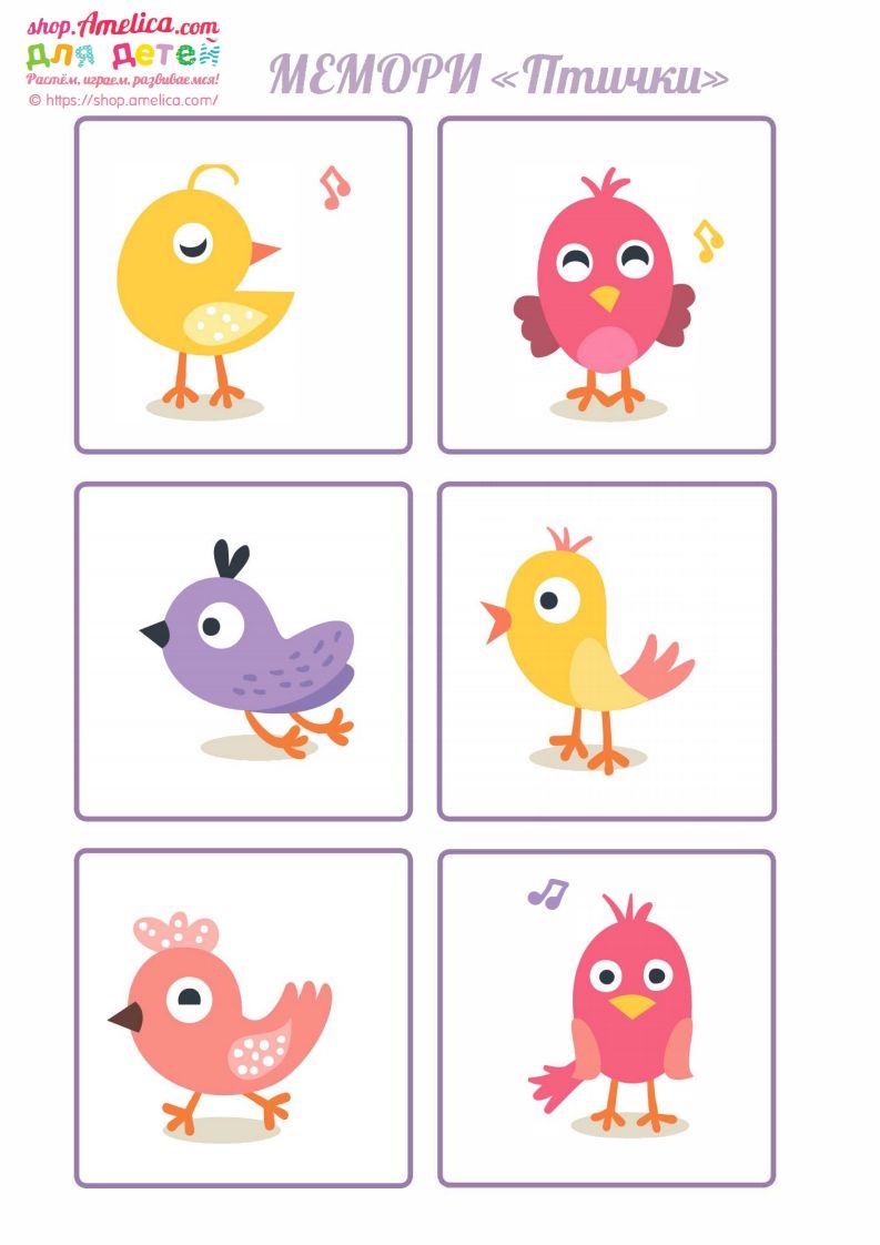 图片[2]_记忆卡片13_练习题|试卷|知识点|复习提纲