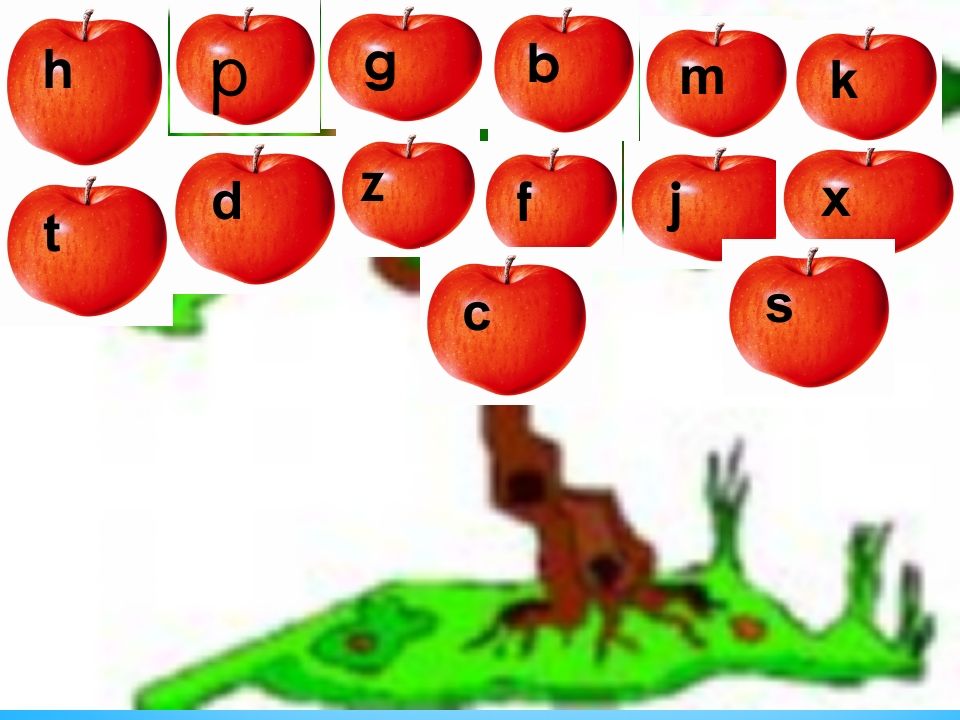 一年级语文上册8.zhchshr课件3（部编版）_练习题|试卷|知识点|复习提纲