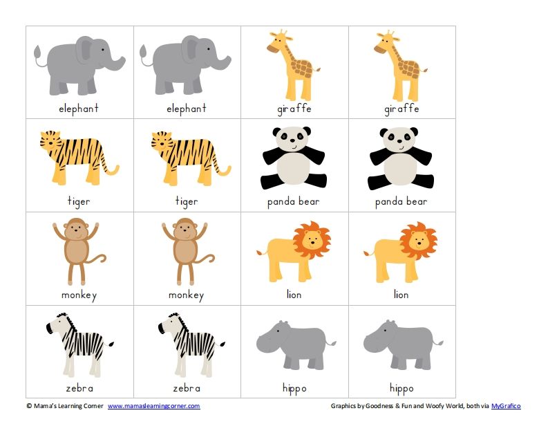 记忆卡片3_练习题|试卷|知识点|复习提纲