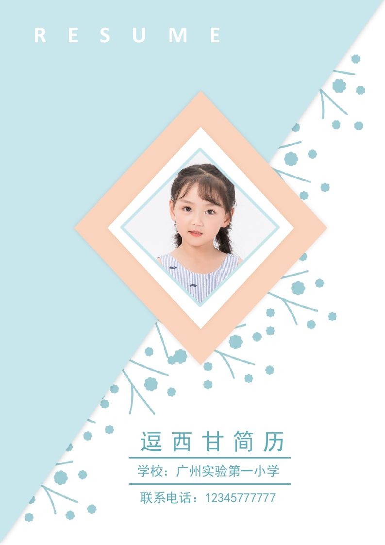 精选-小升初简历27_练习题|试卷|知识点|复习提纲