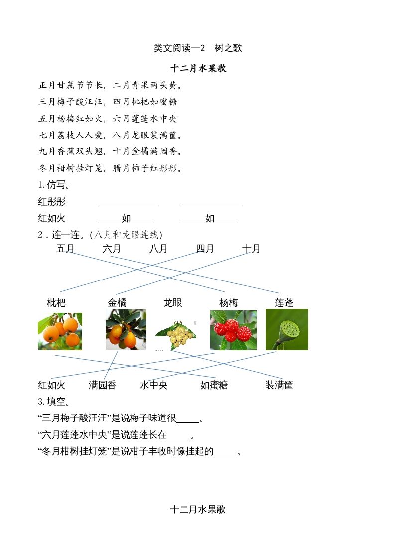 二年级语文上册类文阅读—2树之歌（部编）_练习题|试卷|知识点|复习提纲