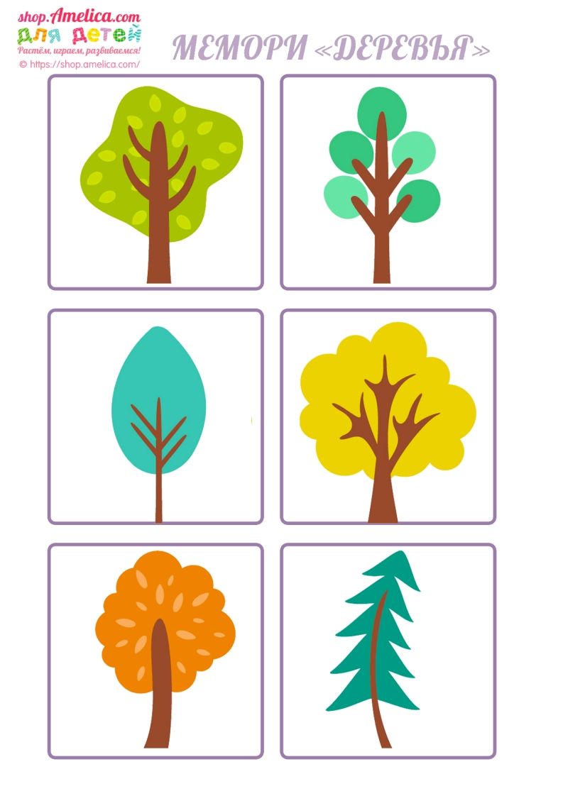 记忆卡片14_练习题|试卷|知识点|复习提纲