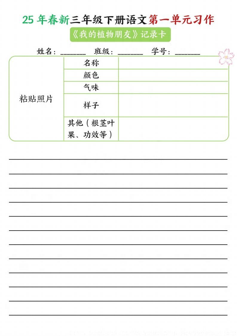 图片[2]_【习作】25年春新三下语文第一单元习作（观察单）16页_练习题|试卷|知识点|复习提纲