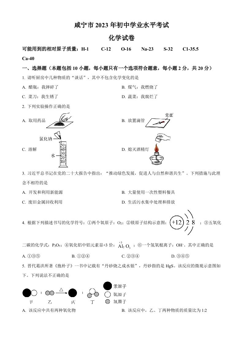 2023年湖北省咸宁市中考化学真题（空白卷）_练习题|试卷|知识点|复习提纲