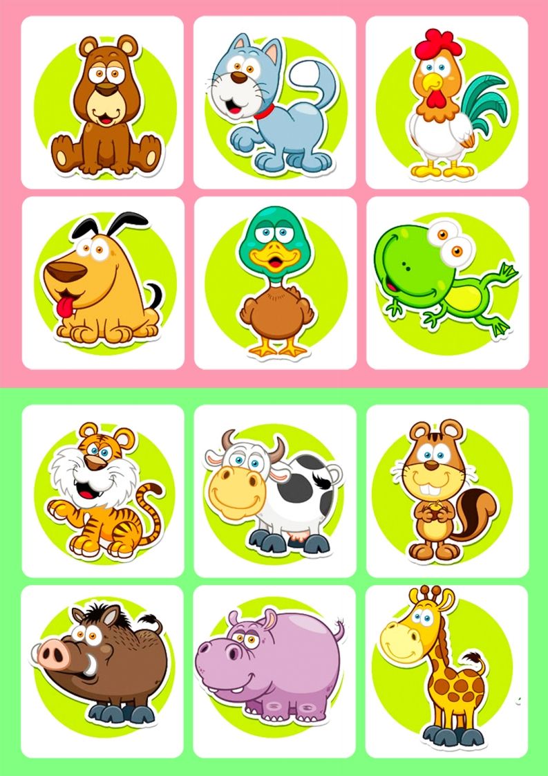 记忆卡片7_练习题|试卷|知识点|复习提纲