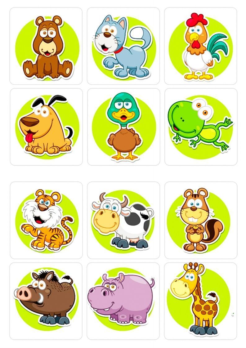 图片[2]_记忆卡片7_练习题|试卷|知识点|复习提纲