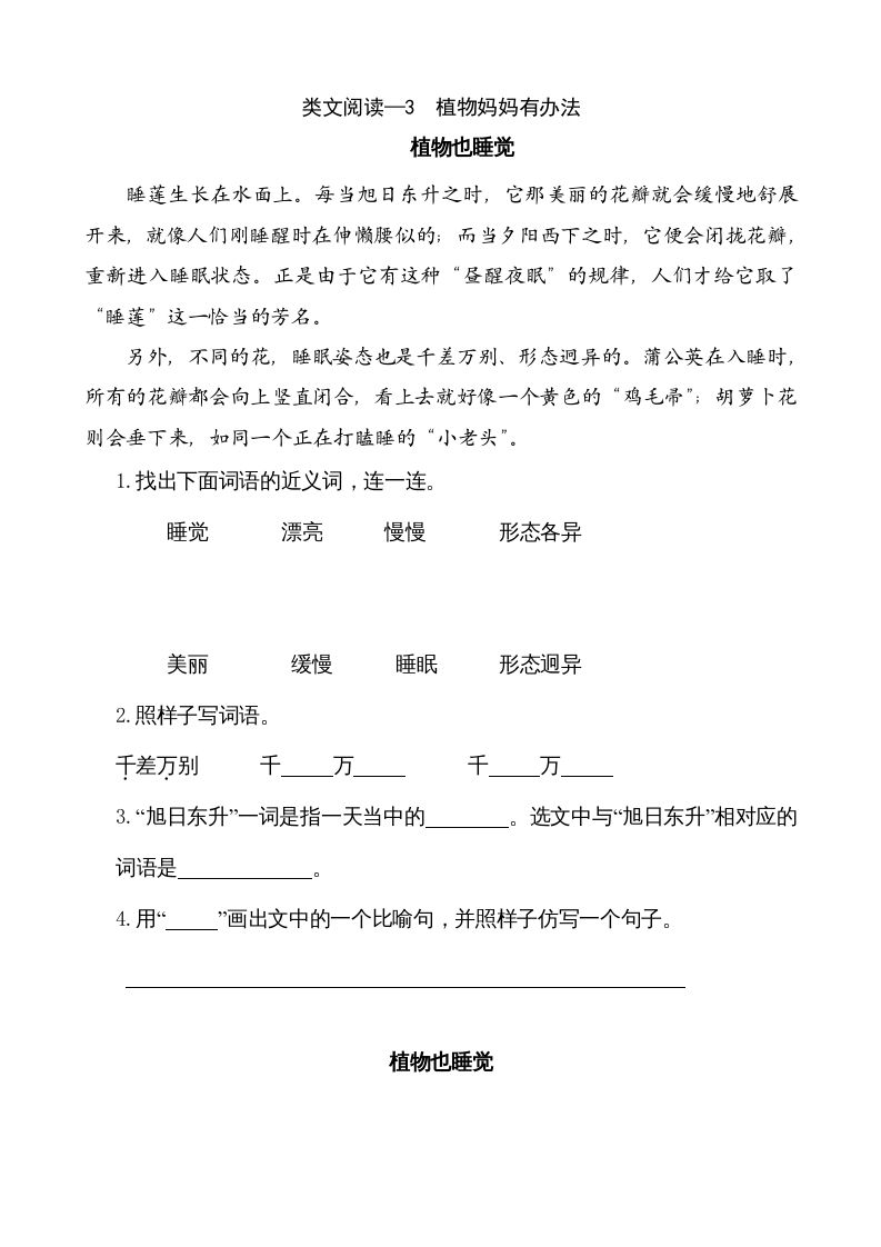 二年级语文上册类文阅读—3植物妈妈有办法（部编）_练习题|试卷|知识点|复习提纲