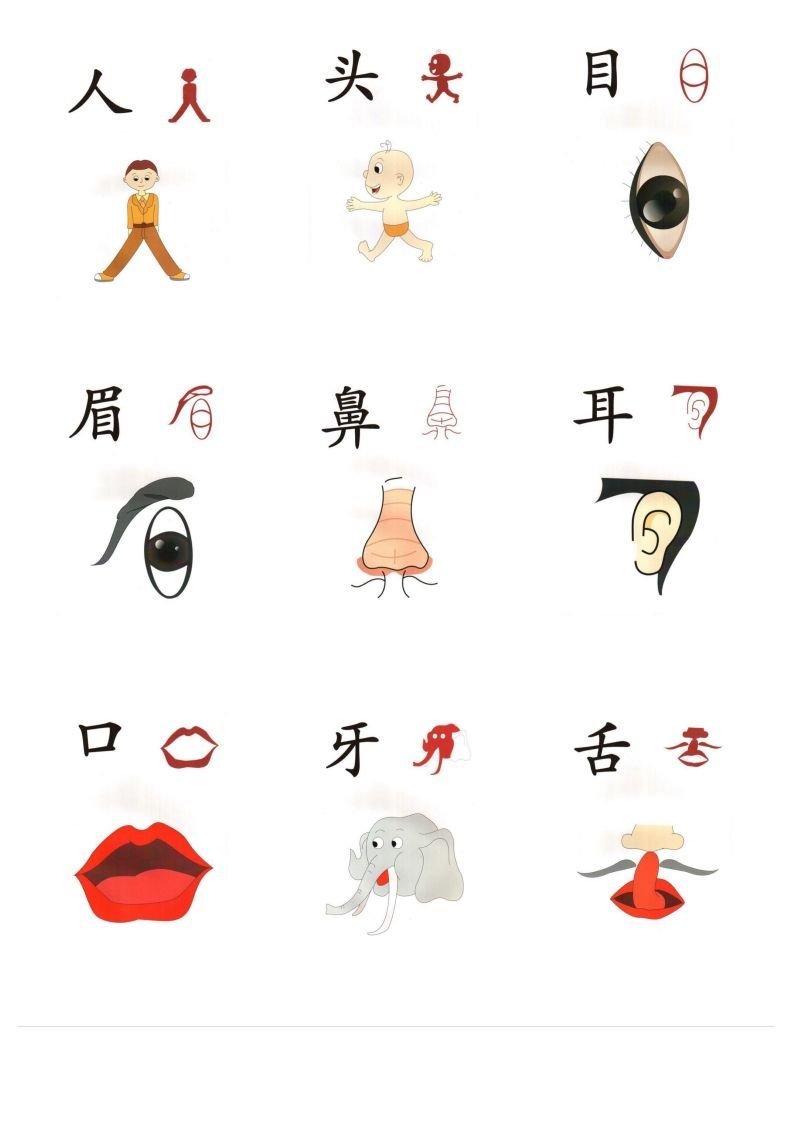 直映识字象形文字（整理版最新）_练习题|试卷|知识点|复习提纲