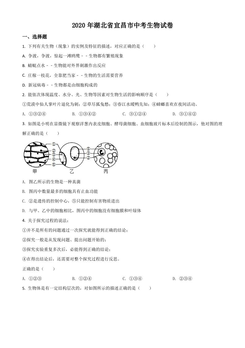 湖北省宜昌市2020年中考生物试题（空白卷）_练习题|试卷|知识点|复习提纲