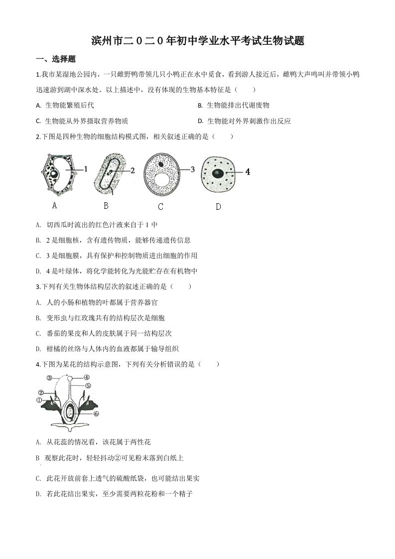 山东省滨州市2020年中考生物试题（空白卷）_练习题|试卷|知识点|复习提纲