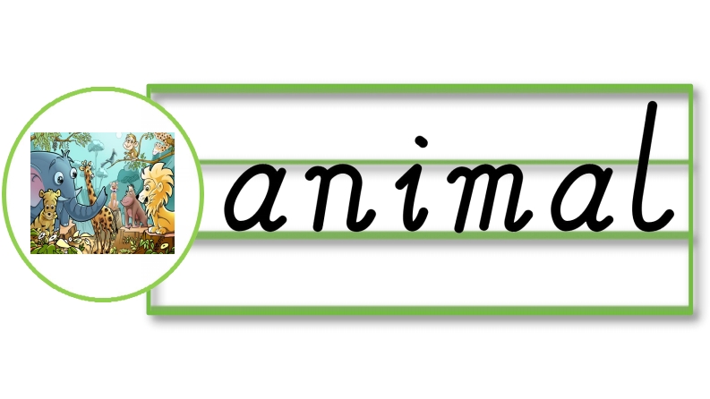 外研社新改版三起三下英语U1-6单词词卡_练习题|试卷|知识点|复习提纲