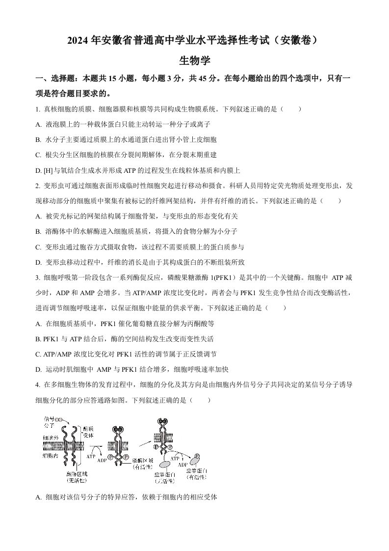 2024年高考生物试卷（安徽）（空白卷）_练习题|试卷|知识点|复习提纲