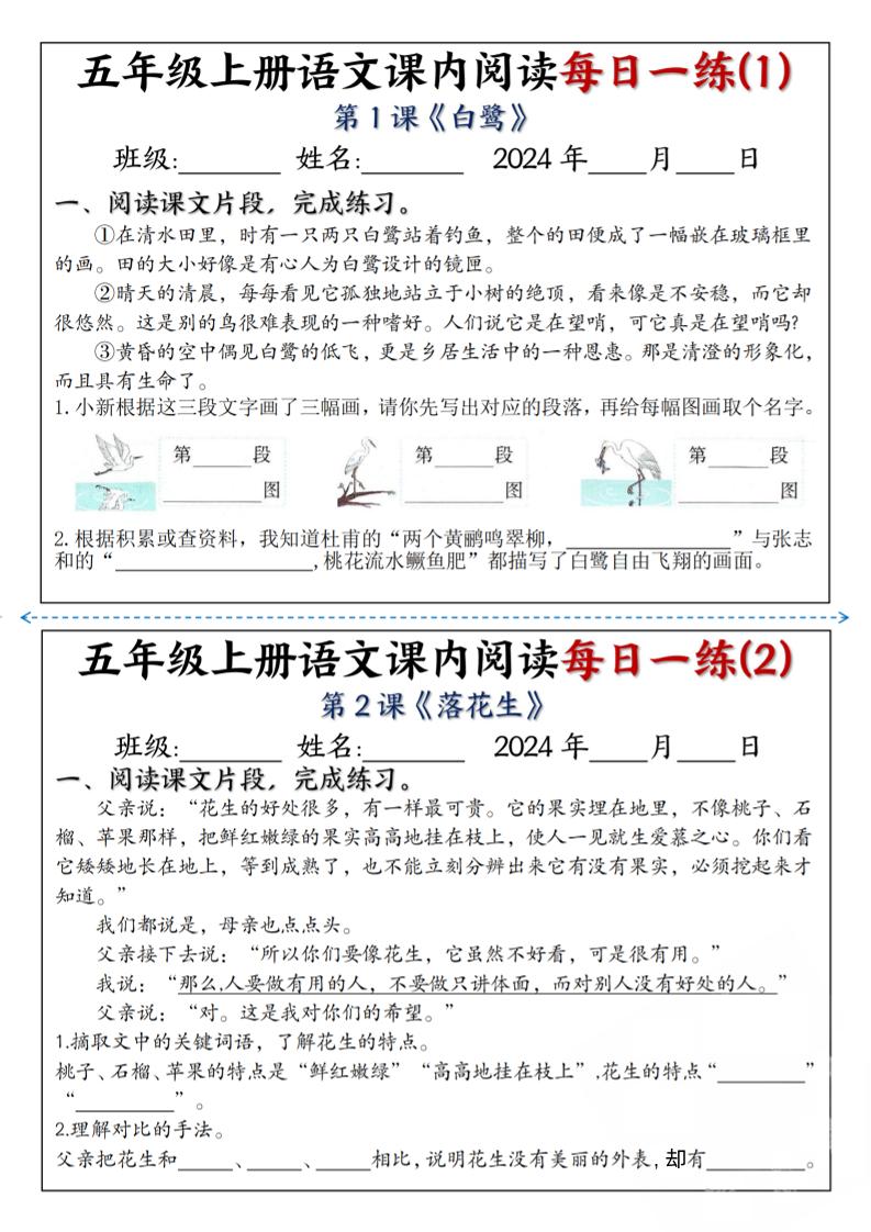 【24秋-课内阅读每日一练】五上语文_练习题|试卷|知识点|复习提纲