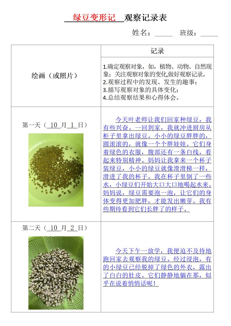 【第三单元习作：观察记录表日记专项】四上语文_练习题|试卷|知识点|复习提纲