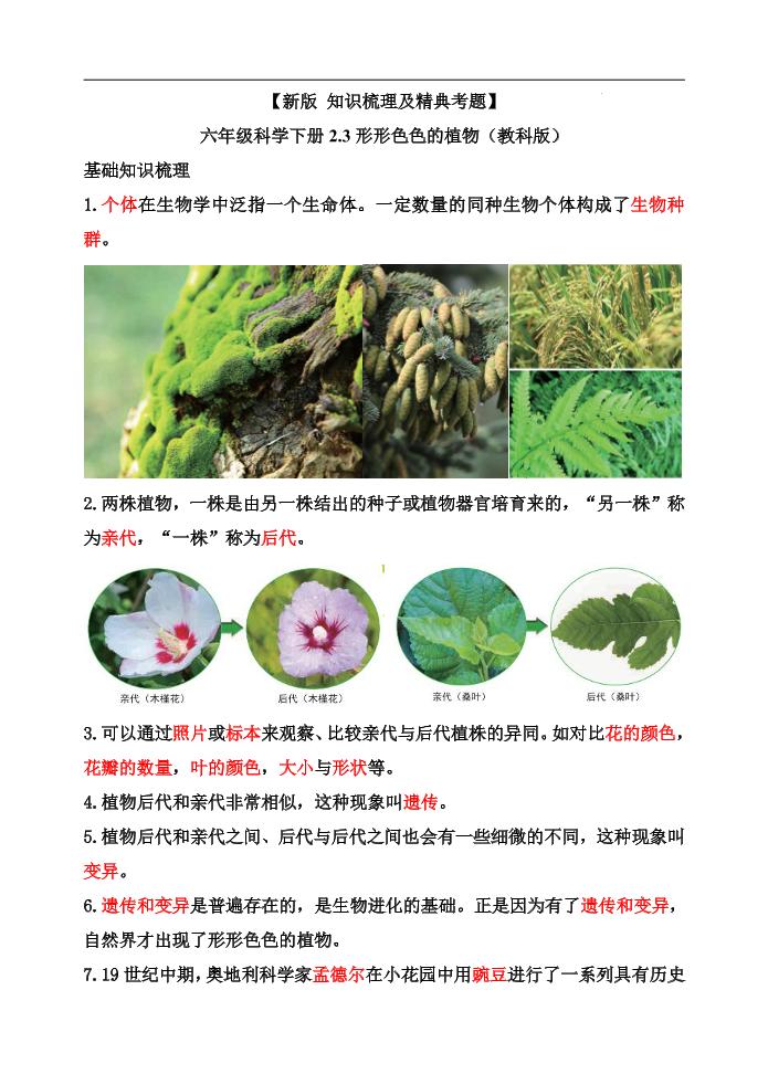 六下【新版+知识梳理及精典考题】六年级科学下册2.3形形色色的植物（教科版）_练习题|试卷|知识点|复习提纲