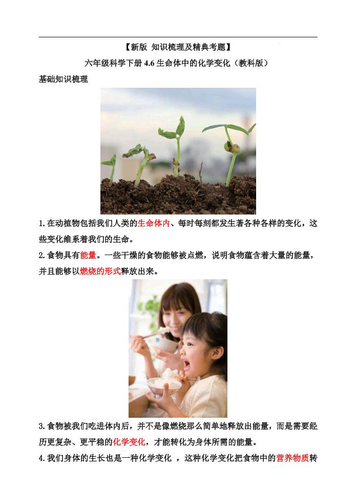 六下【新版+知识梳理及精典考题】六年级科学下册4.6生命体中的化学变化（教科版）_练习题|试卷|知识点|复习提纲