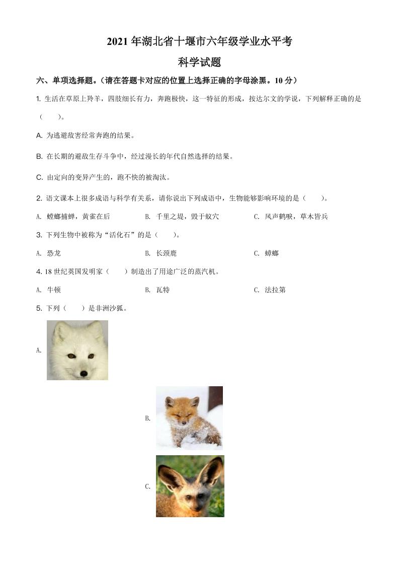六下精品解析：湖北省十堰市郧西县城关镇春桥小学2021年教科版小升初考试科学试卷（原卷版）_练习题|试卷|知识点|复习提纲