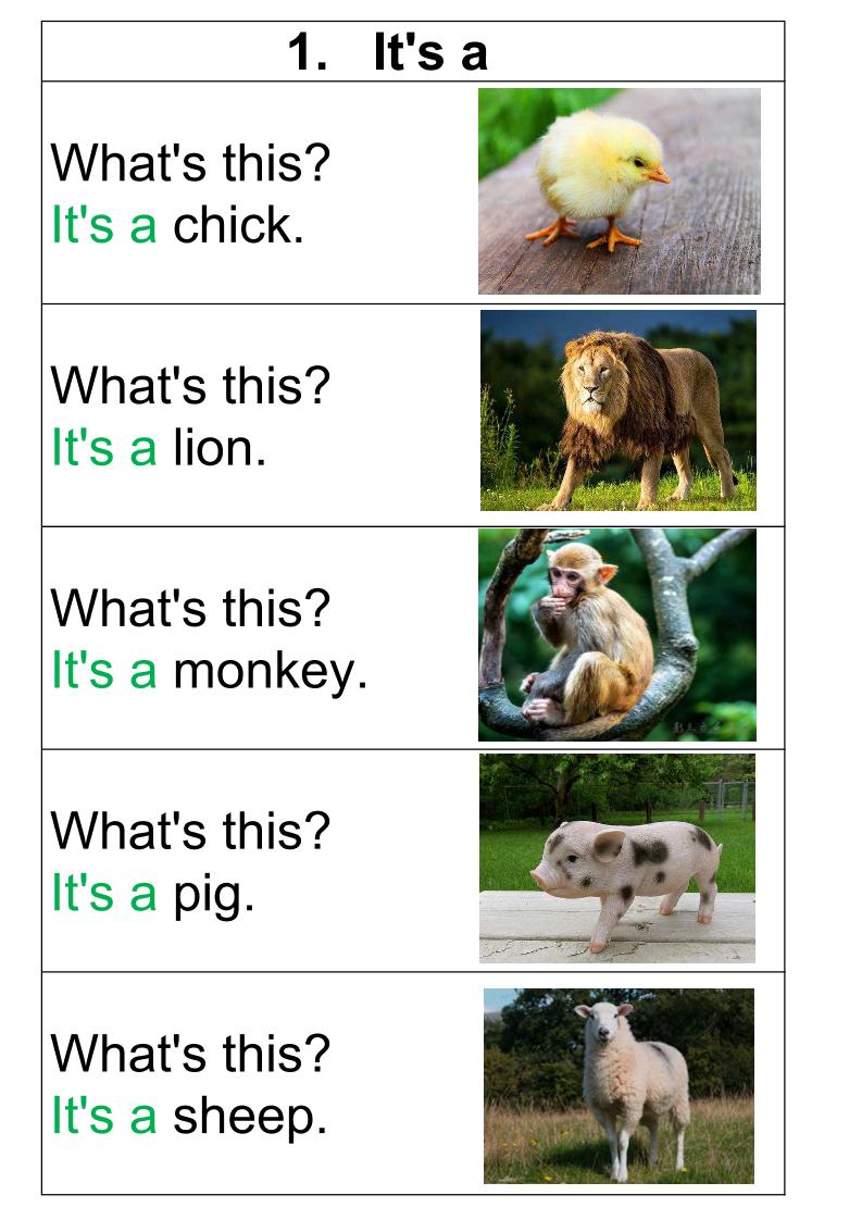 四上英语通用Susan教英语名词实物图开口神器_练习题|试卷|知识点|复习提纲