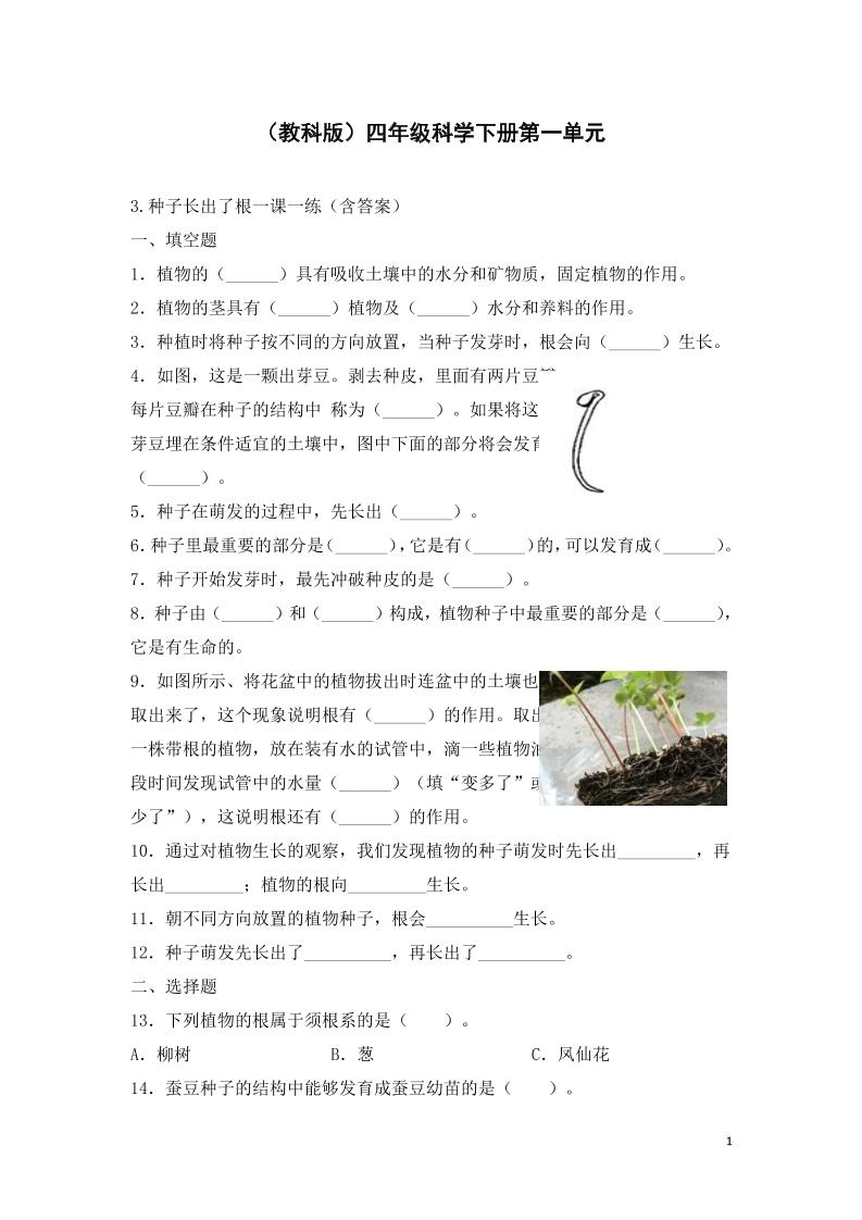 四下丨科学1.3种子长出了根（教科版）_练习题|试卷|知识点|复习提纲