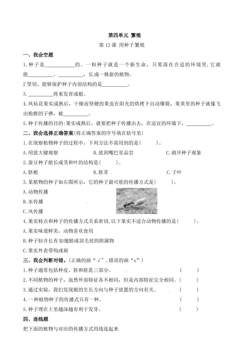 四下丨科学4.12课用种子繁殖（苏教版）_练习题|试卷|知识点|复习提纲